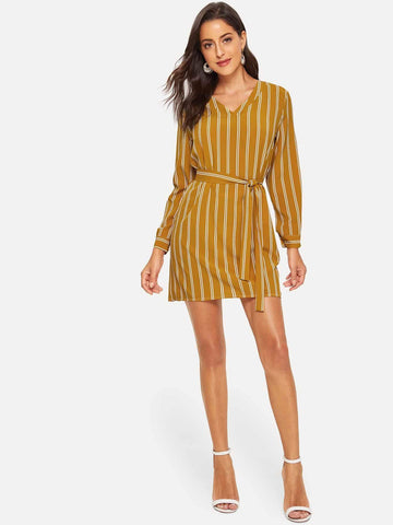 Stripe Tie Waist V Neck Shirt Dress