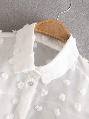 Swiss Dot Sheer Blouse
