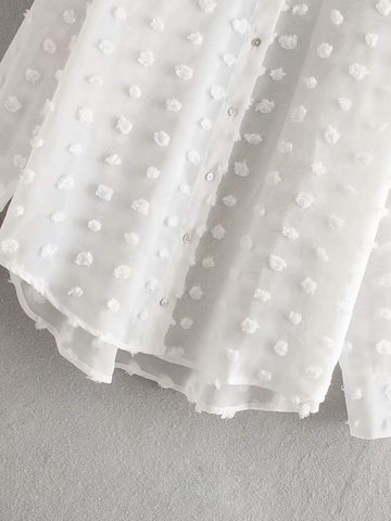 Swiss Dot Sheer Blouse