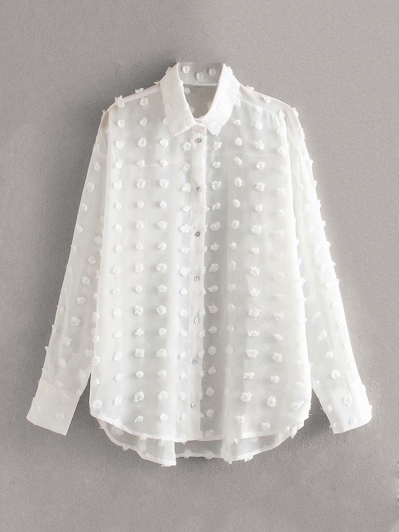 Swiss Dot Sheer Blouse