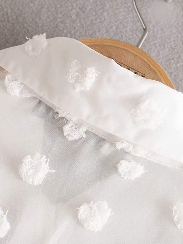 Swiss Dot Sheer Blouse