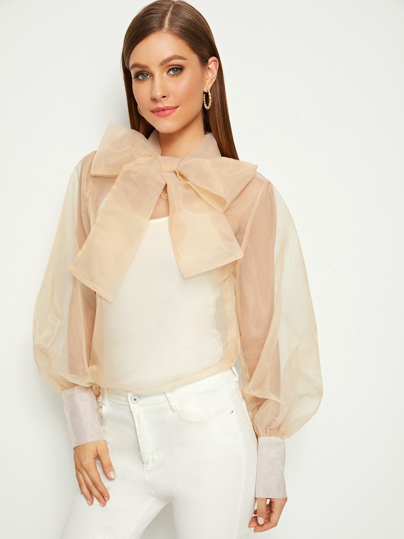 Tie Neck Blouson Sleeve Sheer Organza Blouse