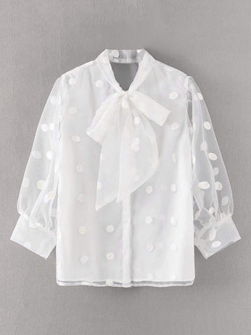 Tie Neck Mesh Sheer Blouse