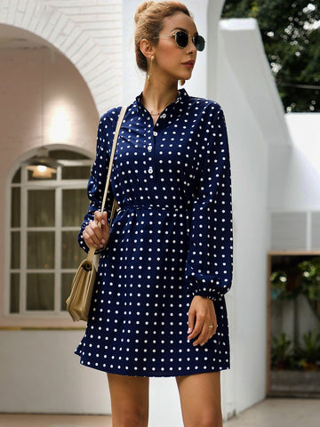 Polka Dot Belted Shirt Dress