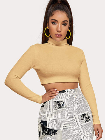 Solid Funnel Neck Crop Jumper Beige, Pastel