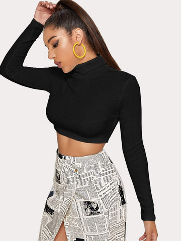 Turtle Neck Slim Crop Jumper