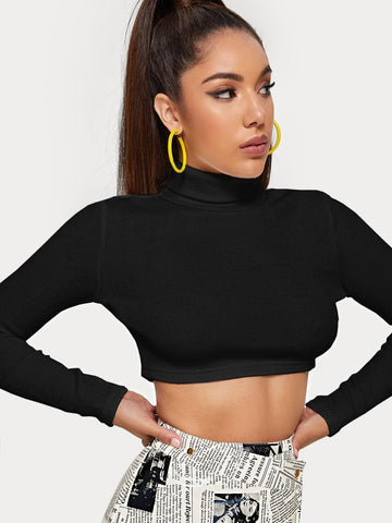 Turtle Neck Slim Crop Jumper