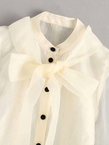 Tie Neck Puff Sleeve Organza Blouse