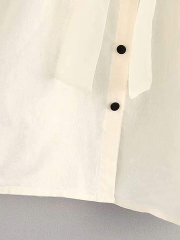 Tie Neck Puff Sleeve Organza Blouse