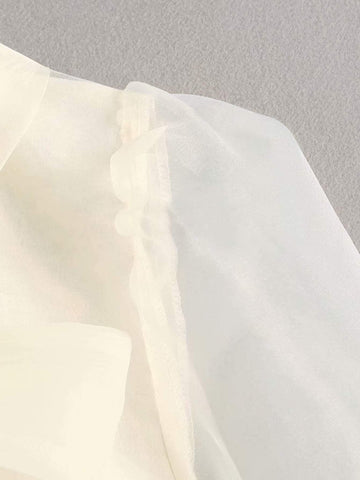Tie Neck Puff Sleeve Organza Blouse