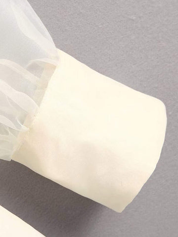 Tie Neck Puff Sleeve Organza Blouse