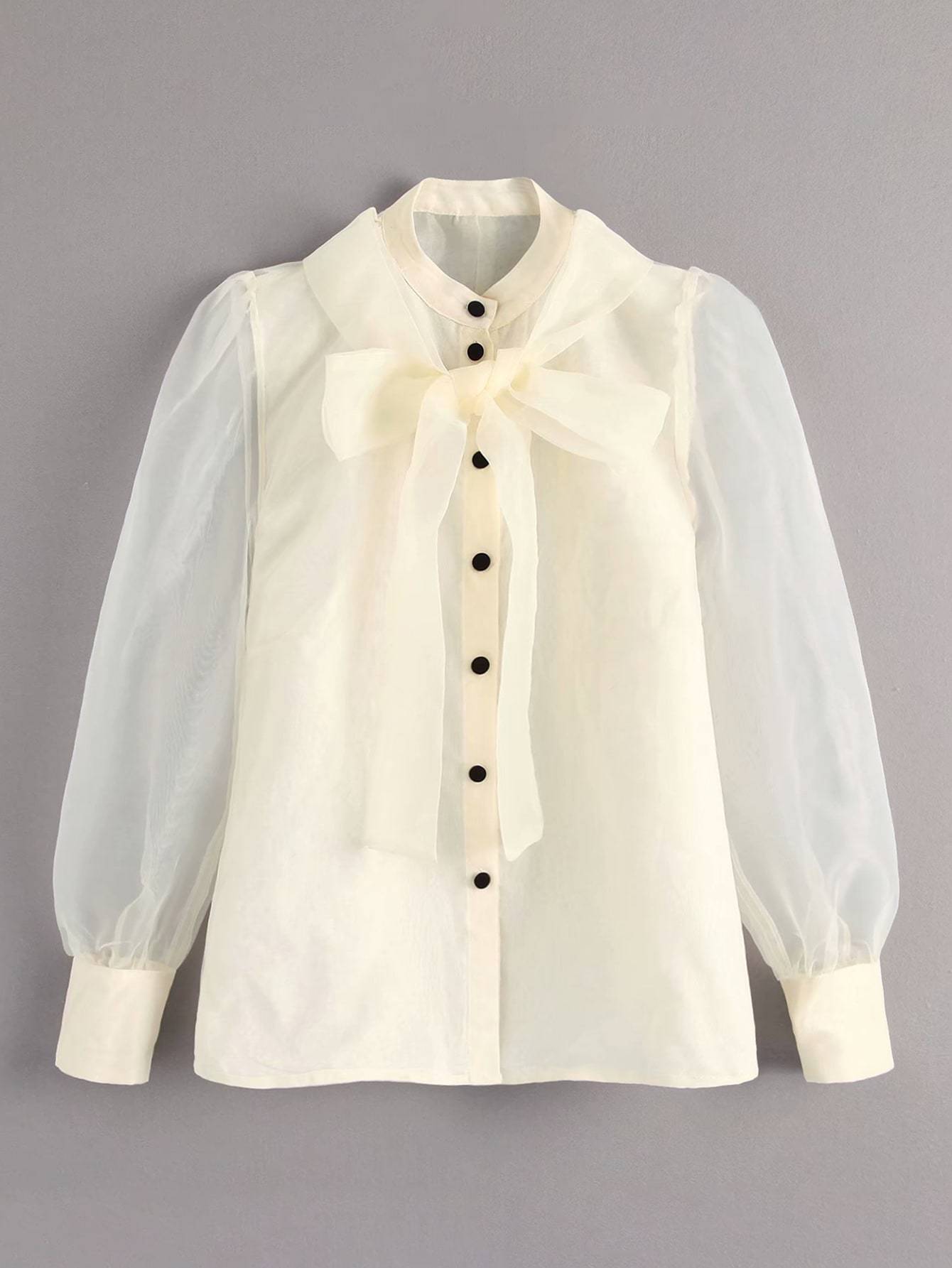 Tie Neck Puff Sleeve Organza Blouse