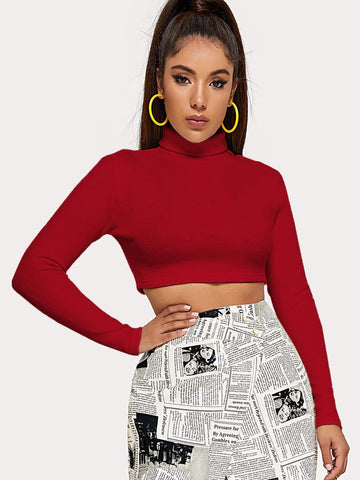 Turtle Neck Slim Crop Jumper