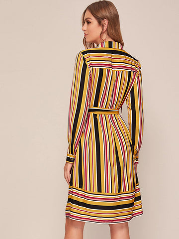 Vertical Striped Belted Shirt Dress
