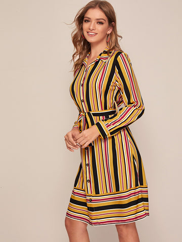 Vertical Striped Belted Shirt Dress