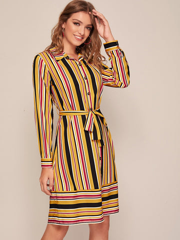 Vertical Striped Belted Shirt Dress