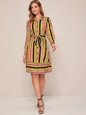 Vertical Striped Belted Shirt Dress