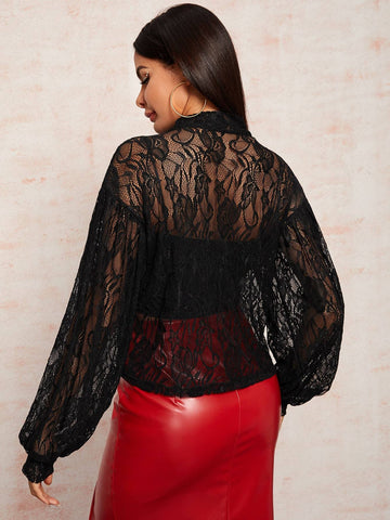 Solid Tie Neck Sheer Lace Blouse