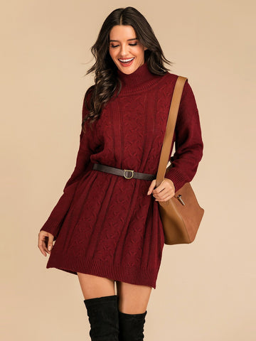 Solid Turtleneck Cable Knit Jumper Dress