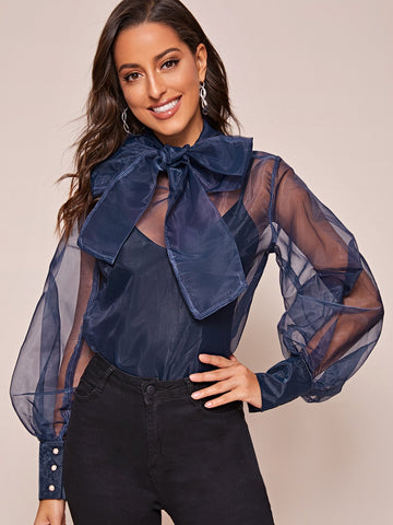 Tie Neck Blouson Sleeve Sheer Organza Blouse