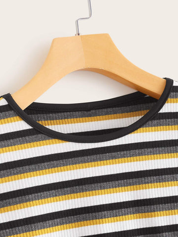 Rib-Knit Striped Crop Fitted Tee