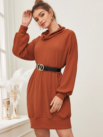Cowl Neck Raglan Sleeve Sweater Dress Without Belt