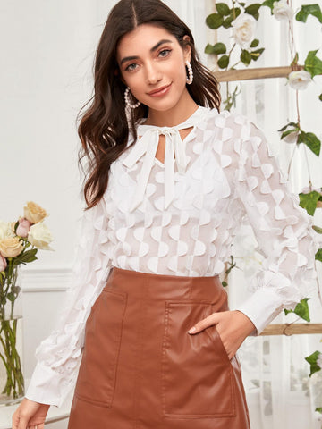 Sheer Tie Neck Chiffon Blouse