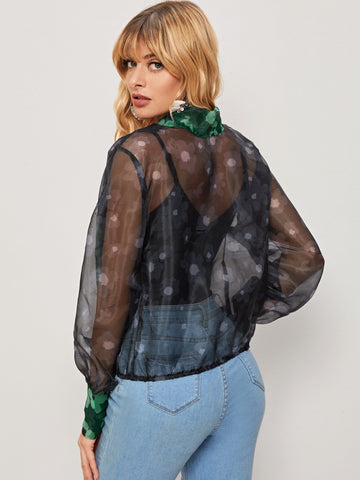 Tie Neck Floral Print Sheer Organza Blouse